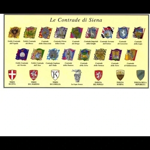 Contrada Della Selva Rhinoceros and Oak tree flag - Picture 10 of 10